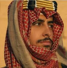 الرئيسية تنزيل (6)